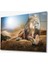 Aslan Hayvan Cam Tablo 4mm Dayanıklı Temperli Cam 1