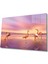 Flamingo Hayvan Cam Tablo 4mm Dayanıklı Temperli Cam 1