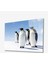 Penguen Hayvan Cam Tablo 4mm Dayanıklı Temperli Cam 1