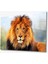 Aslan Hayvan Cam Tablo 4mm Dayanıklı Temperli Cam 1