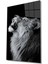 Aslan Hayvan Temperli Cam Tablo 2