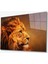 Aslan Hayvan Cam Tablo 4mm Dayanıklı Temperli Cam 1