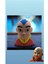 Aang Avatar Figür - 15 cm 2