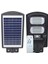 Powermaster PM-23011 Solar Güneş Enerji Panelli Ledli Kumandalı 100 Watt Sokak Lambası Bahçe Aydınlatması Sensörlü 1