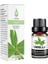 Biberiye Tarzı 10 ml Yeni Lavanta Aromaterapi Suda Çözünür Gül Esansiyel Yağı Yatak Odası Oturma Odası Nemlendirici Özel Mum Esansiyel Yağı (Yurt Dışından) 5