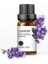 Ylang Tarzı Yeni Çok Kokulu Lavanta Gülü Çay Ağacı Nemlendirici Buhar Sprey Mum Sabun Yapımı Bitki Esansiyel Yağı (Yurt Dışından) 5