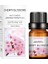 Limon Tarzı Suda Çözünür Aromaterapi Uçucu Yağ 10 ml Nemlendirici Uçucu Yağ Aromaterapi Mum Yapımı Malzemeleri (Yurt Dışından) 5