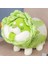 Lahana Köpek Peluş Yastık Doldurulmuş Hayvan Snuggly Yastık Sevimli Peluş Oyuncak Snuggle Buddy Sebze Köpek Peluş Çocuklar Erkekler Kızlar Için Kawaii Yumuşak Sarılma Yastık 17.7in (Yurt Dışından) 4