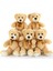 Teddy Bears Doldurulmuş Hayvan Toplu 5 Paket, Küçük Teddy Bear Toplu 14'', Kızlar, Erkekler, Çocuklar Için Sevimli Yumuşak Doldurulmuş Ayı Peluş, Bebek Partisi, Düğün Partisi (Açık (Yurt Dışından) 1