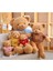 Sevimli Teddy Bear Peluş Doldurulmuş Hayvan, Kahve Kapşonlu Teddy Bear, Çocuklar Için Hediyeler (19.6 "pembe) (Yurt Dışından) 5