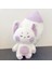 Kawaii Tilki Doldurulmuş Hayvanlar Peluş Yastık, Büyük Kuyruklu Tilki Peluş Oyuncaklar, Çocuk Kız Kız Arkadaşı Için Sevimli Yumuşak Peluşlar Doğum Günü (Mor, 23 Inç) (Yurt Dışından) 2