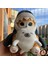 Sevimli Köpekbalığı Kedi Peluş Oyuncak Mühür Kedi Dolması Hayvan Peluş Bebek, 7 '' Yumuşak Dolması Köpekbalığı Yavru Yastık Çocuklar Erkekler Kızlar Için Noel Doğum Günü Hediyeleri (Yurt Dışından) 3