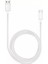 Ctk-Stu 3 Amper USB To Type-C Kablo 1