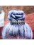Eski Gümüş Lady Yaprak Saç Tarak Kadınlar Için Parti Doğum Günü Nedime Hediyesi Saç Aksesuarları Firkete Saç Klipleri Lolita Aksesuarları Boho Moda (Yurt Dışından) 1