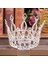 Siyah Çinko Kaplama Kristal Rhinestone Yuvarlak Taç Tiara Saç Takı Düğün Saç Aksesuarları Gelin Saç Takı Kraliçe Parti Taç ve Tiaras Hediye (Yurt Dışından) 1