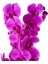 Mor Orkide - Hediye Paketli - Purple Orchid 3