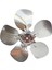 Fan Pervanesi 2