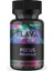 Focus Formula - 50 Kapsül 1