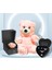 Kadın Melek Kanadı Takı Seti - Solmayan Gül - Pembe Peluş Ayı PS2905 1