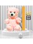 Kadın Melek Kanadı Takı Seti - Solmayan Gül - Pembe Peluş Ayı PS2905 4