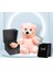 Sonsuzluk Kolye - Rose Solmayan Gül Peluş Ayı Hediye Set PS2906 1
