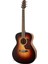 WAG570ETB Elektro Akustik Gitar 1