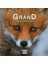 Devenir Grand Petit Renard - Julie Lardon 1