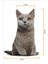3D Dijital Baskılı Kedi Yastık Duman Kedi 2