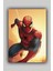Spiderman Poster Çerçevesiz Duvar Posteri 1