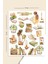 Love Books Sticker Seti Planner Ajanda Bullet Journal Için Uygun Set 1