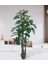 Yapay Çiçek Monstera Yeşil Deve Tabanı 3katlı 135CM 54YAPRAK Siyah Plastik Saksıda Yapay Bitki 1