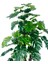 Yapay Çiçek Monstera Yeşil Deve Tabanı 3katlı 135CM 54YAPRAK Gümüş Kemerli Siyah Saksıda Yapay Bitki 2