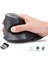 Delux M618GX Avuç Içi Ergonomik Dikey 6 Tuşlu Kablosuz Optik Mouse Kauçuk Koruyucu Kabuk Fare 2