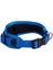 Utility Gevoerde Halsband Dolgulu Köpek Boyun Tasması Mavi Large 2X30-42 cm 1