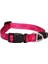 Alpinist Halsband Desenli Köpek Boyun Tasması Turuncu Xlarge 43X70 cm 2