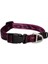 Alpinist Halsband Desenli Köpek Boyun Tasması Mor Medium 26X40 cm 2