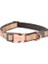 Urban Halsband Köpek Boyun Tasması Gold Medium 2X26-40 cm 1