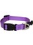 Utility Halsband Dokuma Köpek Boyun Tasması Mor Xsmall 1.1X16-22 cm 1