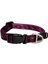 Alpinist Halsband Desenli Köpek Boyun Tasması Mor Large 34X56 cm 2