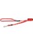 Alpinist Lijn Köpek Gezdirme Kayışı Kırmızı Small 1.1X180 cm 2