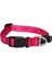 Alpinist Halsband Desenli Köpek Boyun Tasması Turuncu Medium 26X40 cm 1