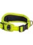Utility Gevoerde Halsband Dolgulu Köpek Boyun Tasması Sarı Xxlarge 4X48-70 cm 1