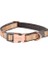 Urban Halsband Köpek Boyun Tasması Gold Small 1.6X20-31 cm 1