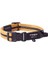 Air Tech Halsband Yumuşak Dokulu Köpek Boyun Tasması Hardal Medium 26-40 cm 2