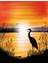 Günbatımında Gölde Balıkçıl | Elmas Mozaik Tablo | Mozaik Puzzle | 50x64 | E2020027 1