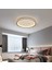 Antrasit Ø60CM Çember 3 Işık Rengi, Kumandalı LED Tavan Lambası, yuvarlak Avize, modern 1