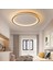 Antrasit Ø60CM Çember 3 Işık Rengi, Kumandalı LED Tavan Lambası, yuvarlak Avize, modern 2