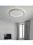Antrasit Ø60CM Çember 3 Işık Rengi, Kumandalı LED Tavan Lambası, yuvarlak Avize, modern 3