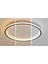 Antrasit Ø60CM Çember 3 Işık Rengi, Kumandalı LED Tavan Lambası, yuvarlak Avize, modern 5