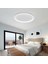 Beyaz Ø60CM Çember 3 Işık Rengi, Kumandalı LED Tavan Lambası, yuvarlak Avize, modern 1